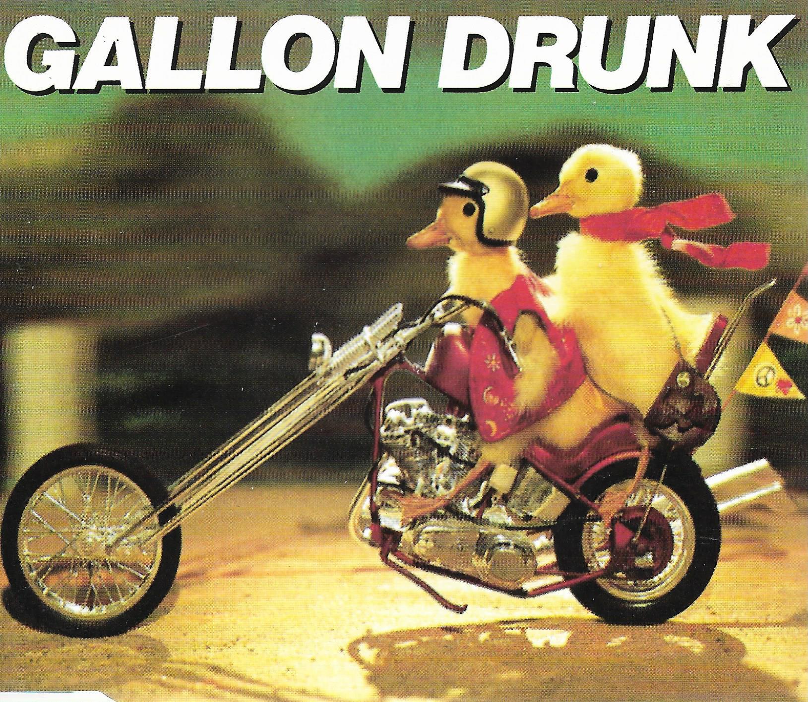 Gallon Drunk • Some Fools Mess