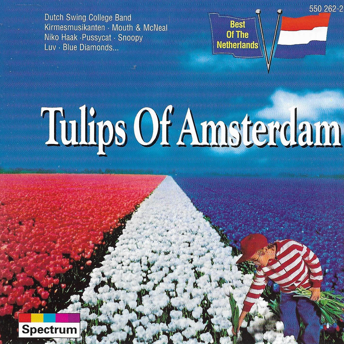 Various • Tulips of Amsterdam