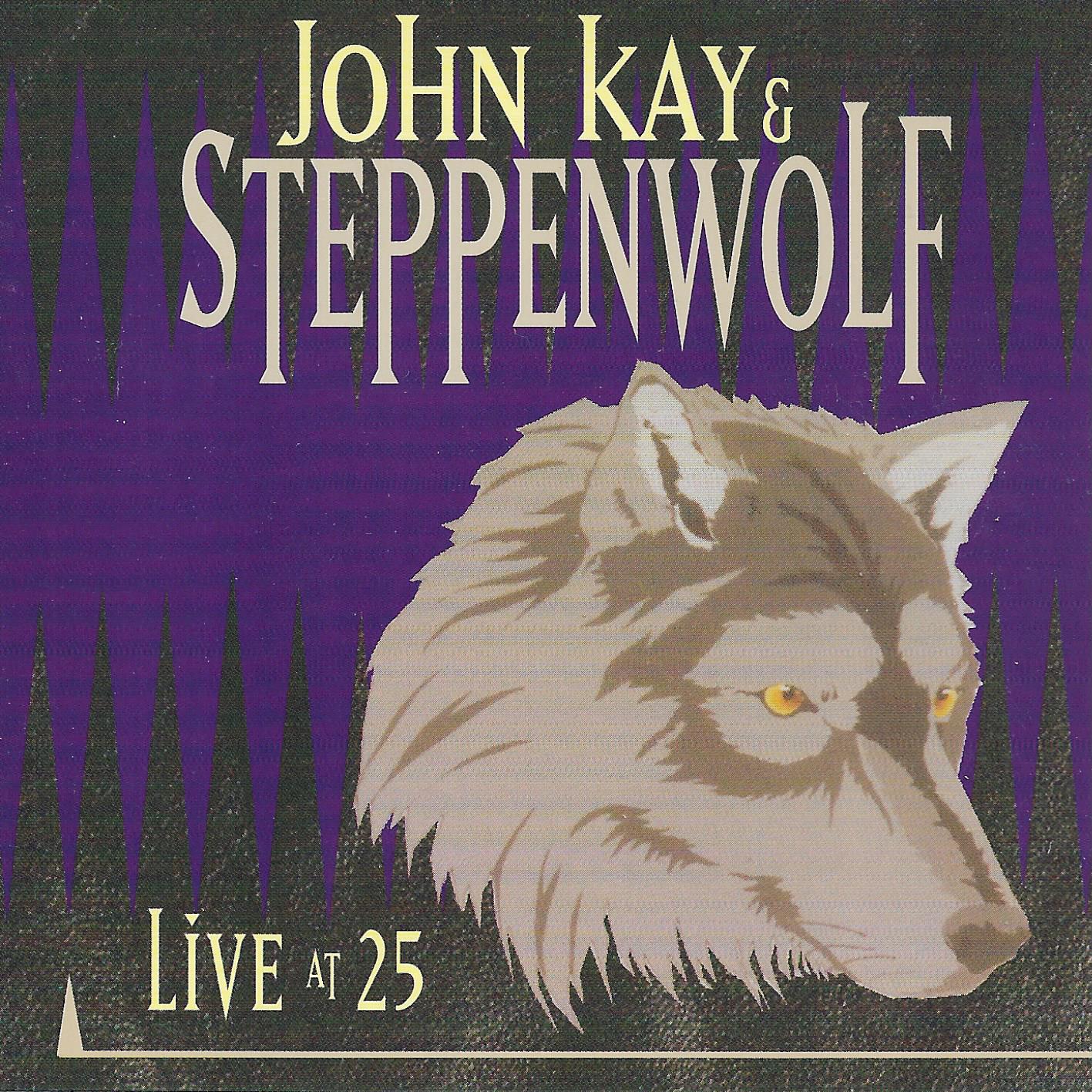 Steppenwolf • Live At 25