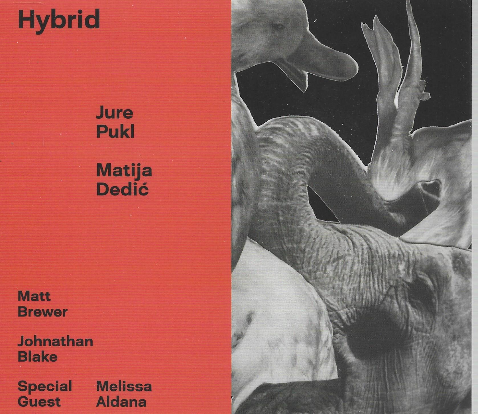 JurePukl / Matija Dedic • Hybrid