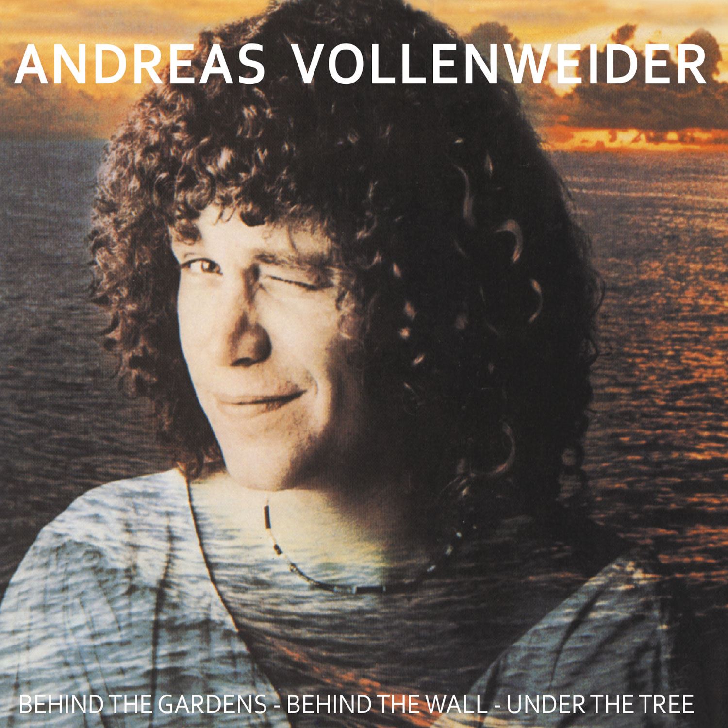 Andreas Vollenweider • Behind The Gardens - Behind Th