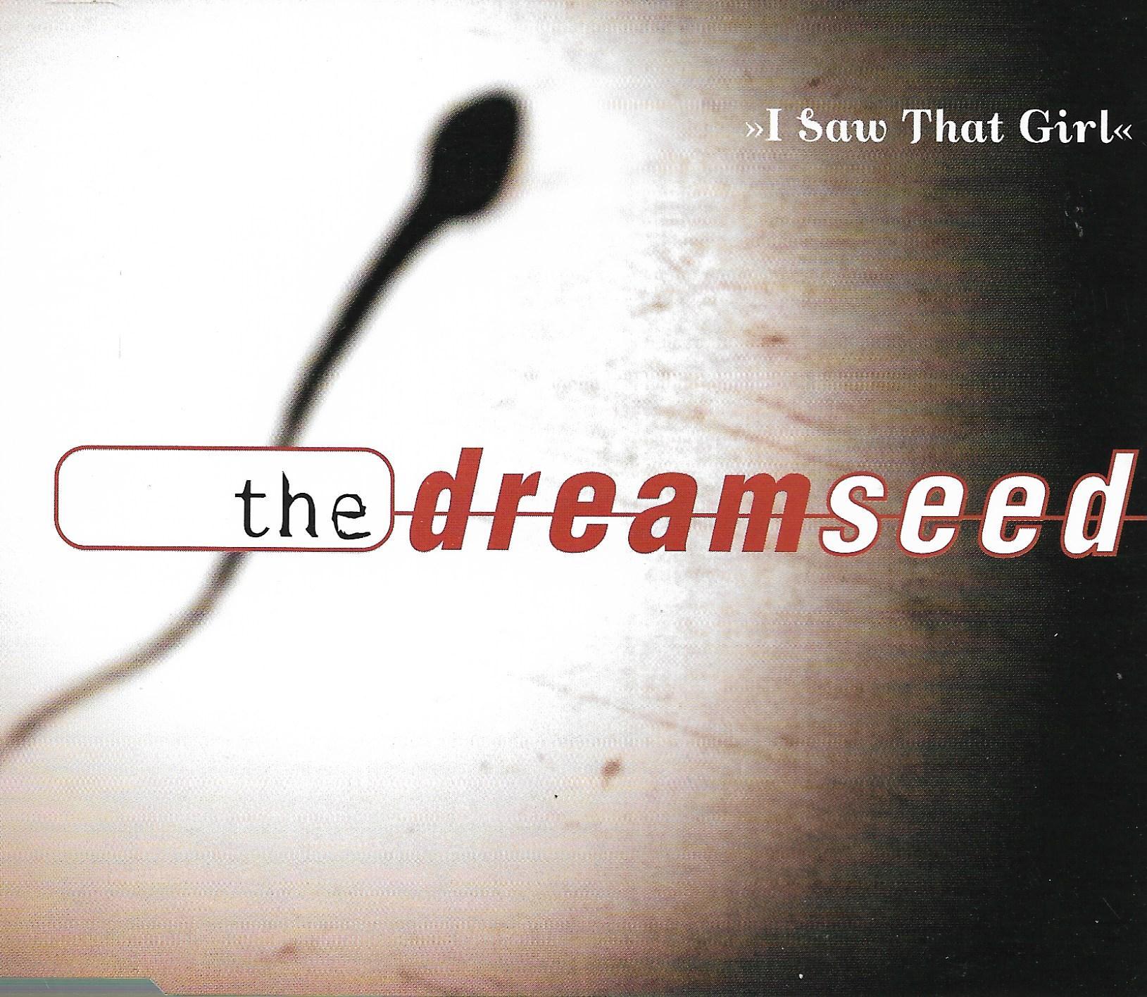 Dreamseed • I Saw That Girl