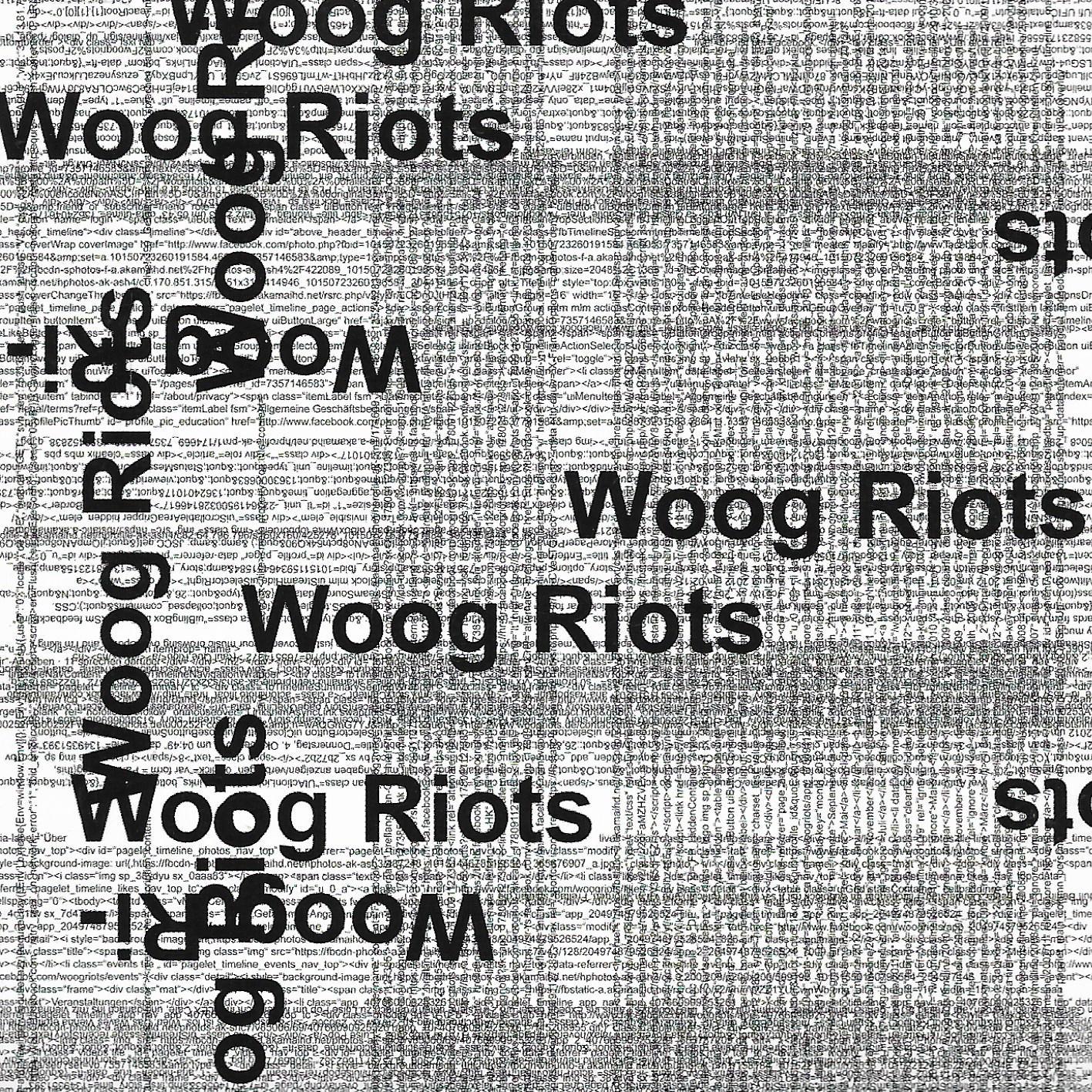 Woog Riots • From Lo-Fi To Disco!