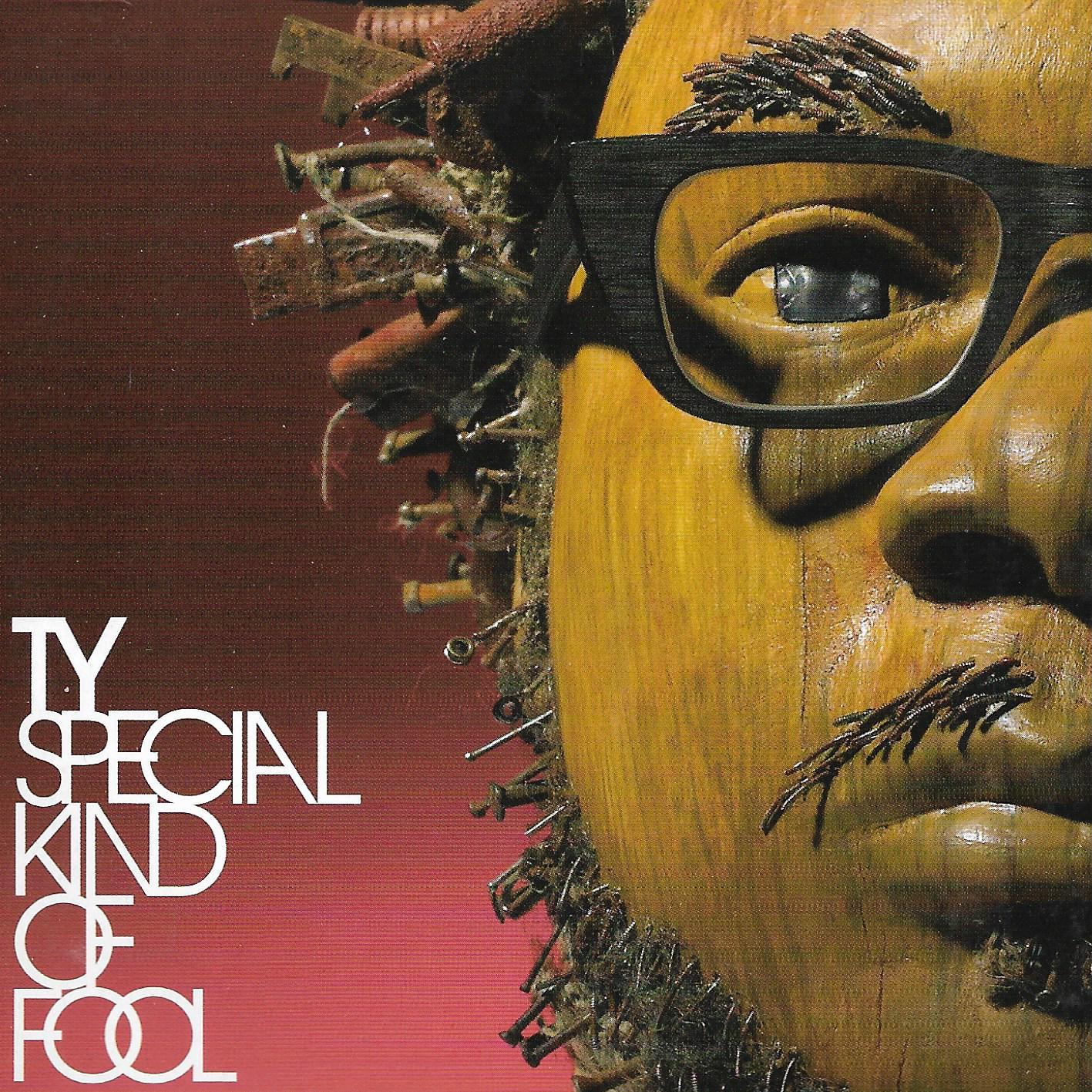 Ty • Special Kind Of Fool