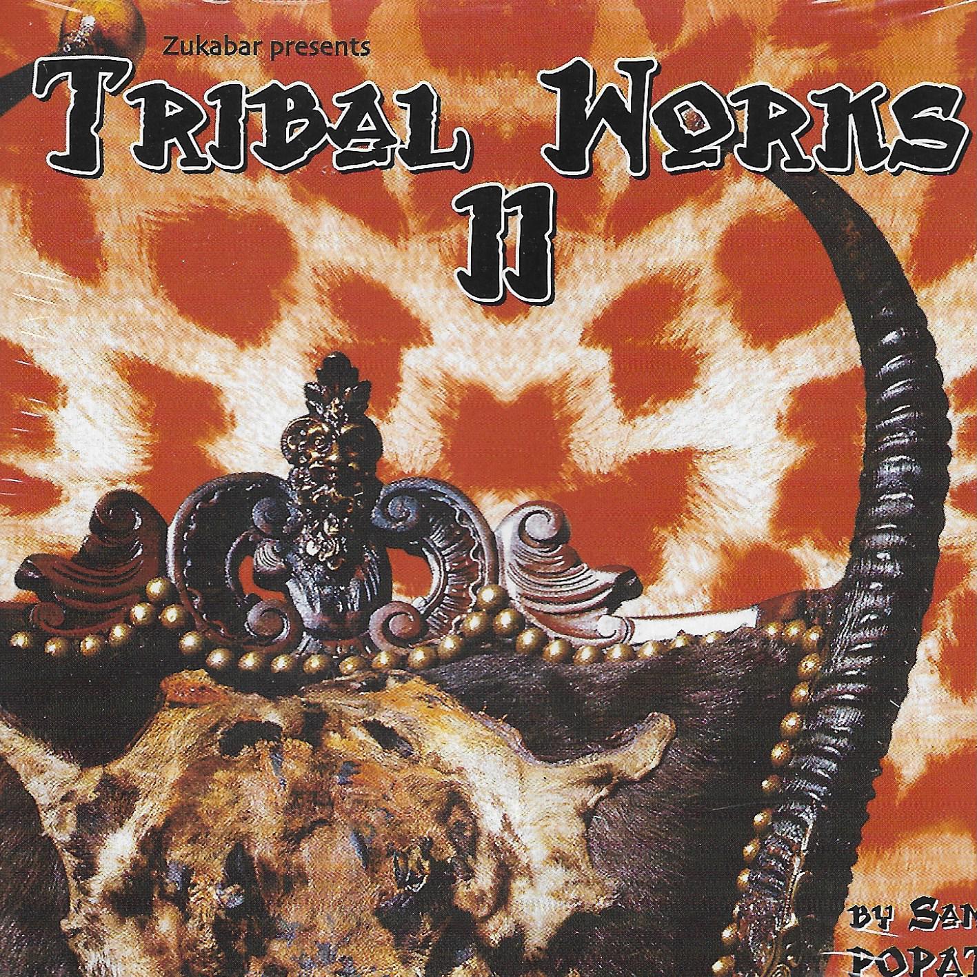 Sam Popat • Tribal Works 2