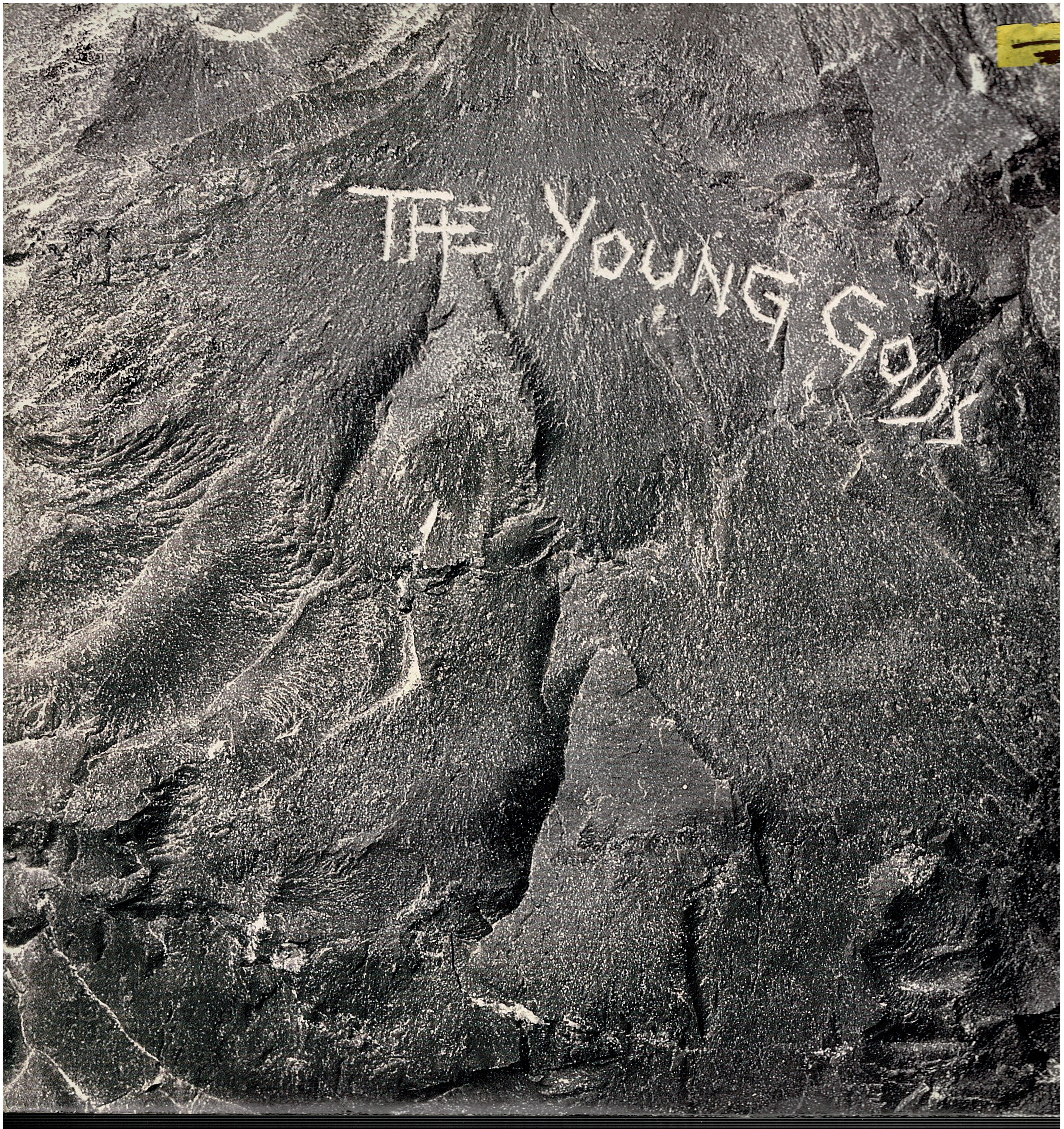 Young Gods • The Young Gods