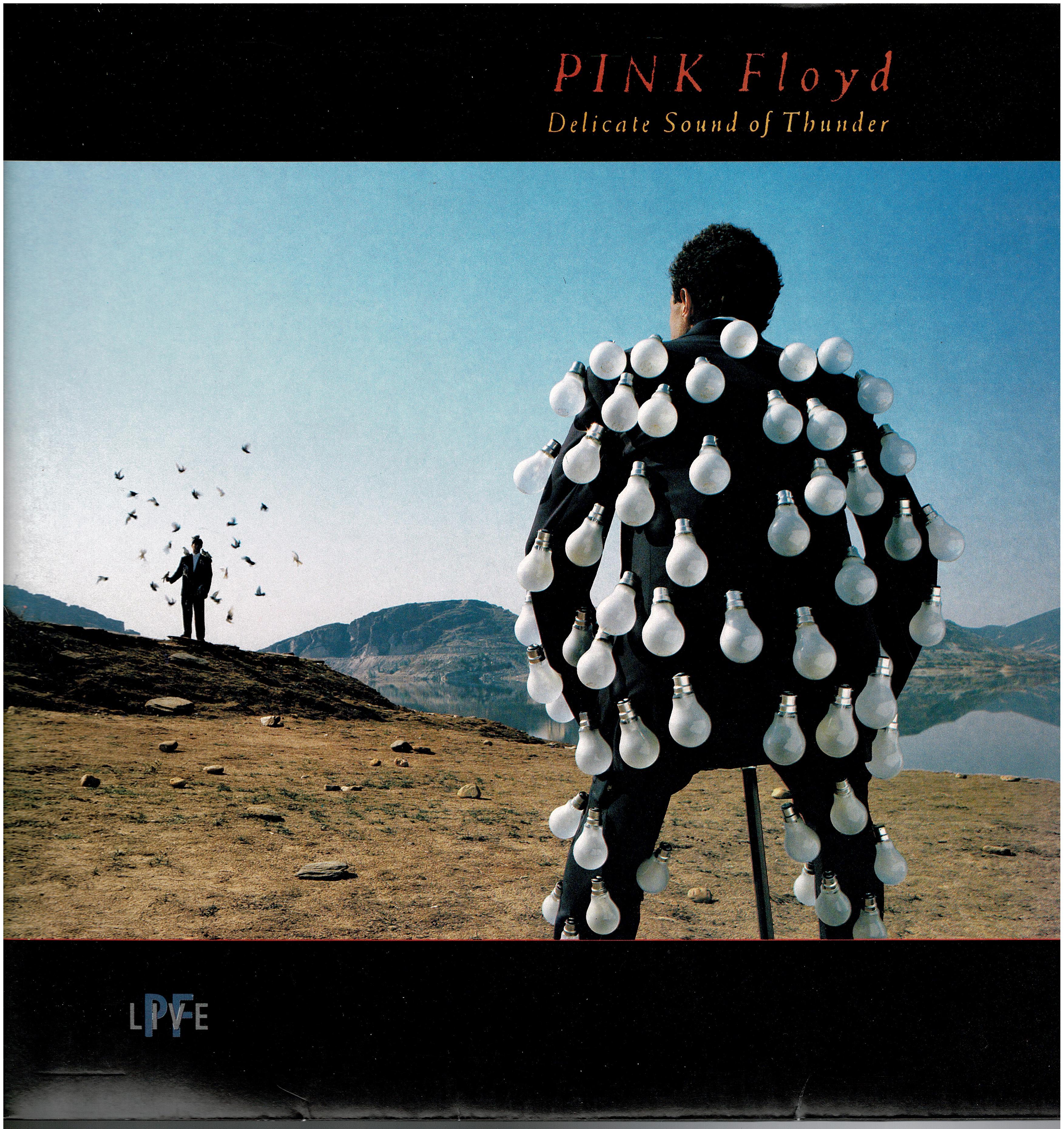 Pink Floyd • Delicate Sound Of Thunder